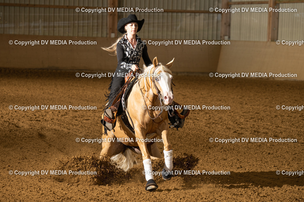 LAU01065 | dv-media-shop - Realisiert mit Pictrs.com