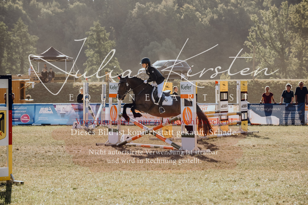DSC_5566 | Pferde- und Turnierfotografie in Westsachsen. Pferdeportraits, Auftragszeichnungen und intuitive Kunst.
