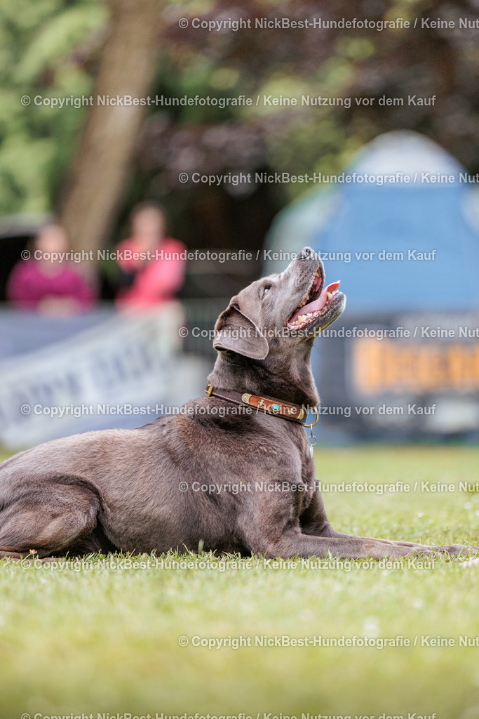 RO-Blumenthal-2026-Nickbest-Hundefotografie-2980 | Dein Hund! Dein Moment! Deine Erinnerungen! Hundefotografie in Bremen Blumenthal. Ich fange die besonderen Momente deines Vierbeiners ein – ob Indoor mit Blitzanlage oder in der freien Natur. Sicher dir dein Moment und dein Termin für eure Erinnerungen.