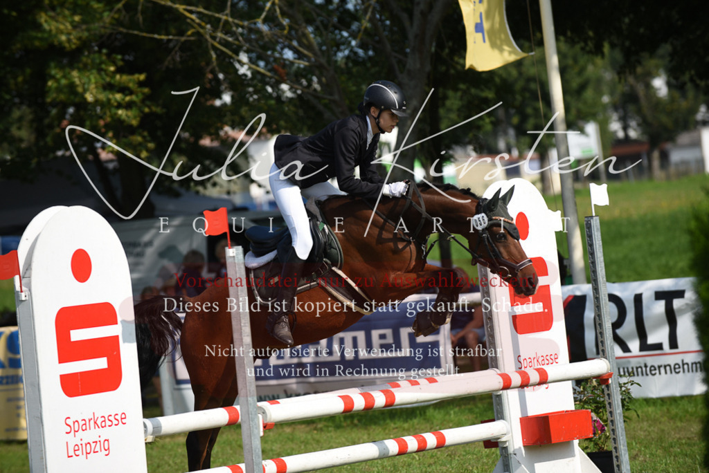 DSC_8931 | Pferde- und Turnierfotografie in Westsachsen. Pferdeportraits, Auftragszeichnungen und intuitive Kunst.