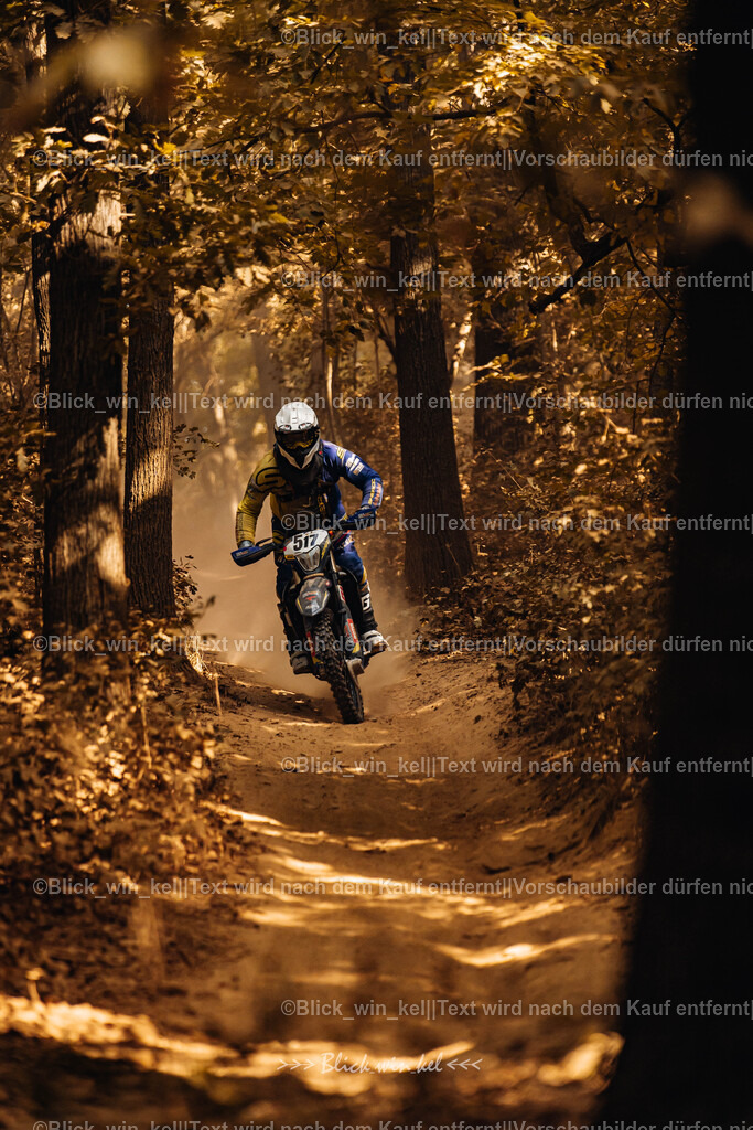 E68A7935 | blick_win_kel