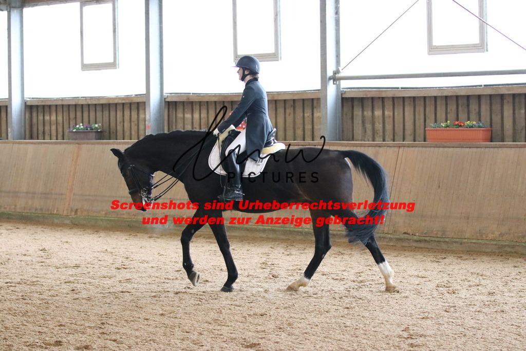 IMG_1104 | lmwpictures - Realisiert mit Pictrs.com