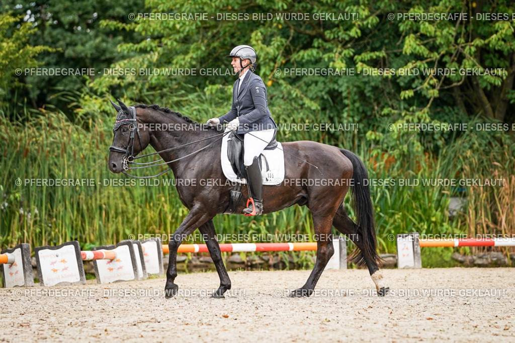 DSC04476 | Pferdegrafie