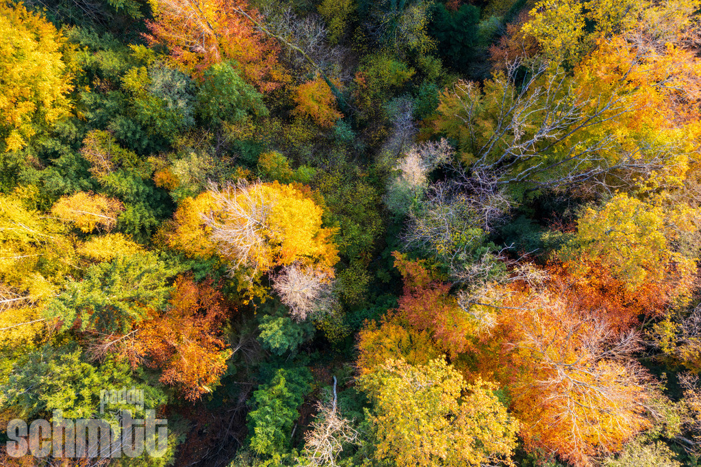 PS-Aerials-2026-10 | Entdecke die größte Bildgalerie der Region mit Fotografien aus dem Allgäu, der Bodenseeregion, Oberschwaben, dem Donautal und der Schwäbischen Alb. Landschaften, Luftaufnahmen und Reisefotografie als Wandbild und Fotokunst. - Realisiert mit Pictrs.com