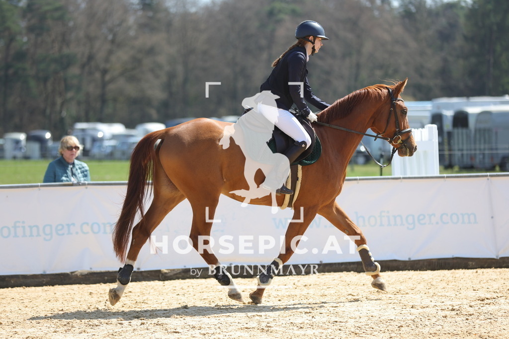 0P6A0543 | Willkommen bei Brunnmayr - Design & Fotografie – Ihrem Spezialisten für Reitturniere und Pferdeveranstaltungen in Oberösterreich, Salzburg und Bayern! Seit über 17 Jahren sind wir leidenschaftlich dabei.