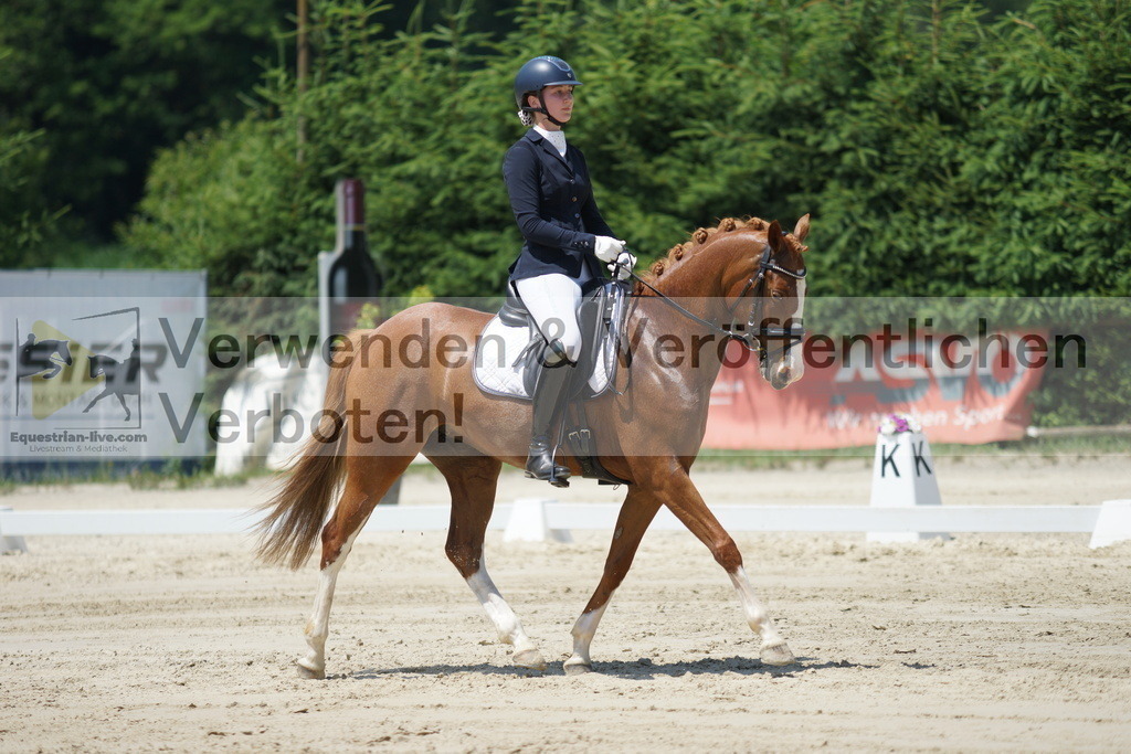 DSC04927 | equestrian-live-com