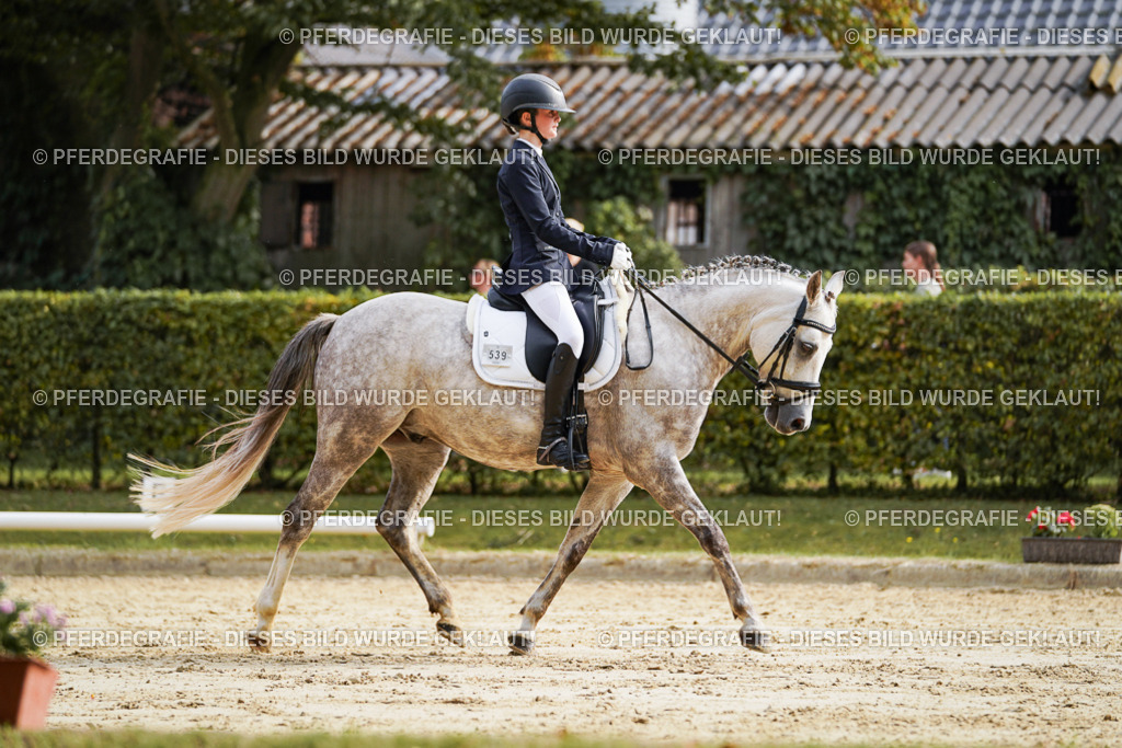 DSC04746 | Pferdegrafie