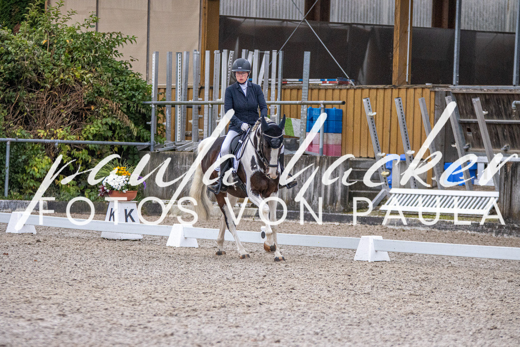 IMG_2486 | Erleben Sie dynamische Sport- und emotionale Tierfotografie in Süddeutschland mit Fotos von Paula. Spezialisiert auf Pferde- und Hundefotografie sowie Sportevents. Kontaktieren Sie mich für einzigartige und ausdrucksstarke Bilder Ihrer besonderen Momente.