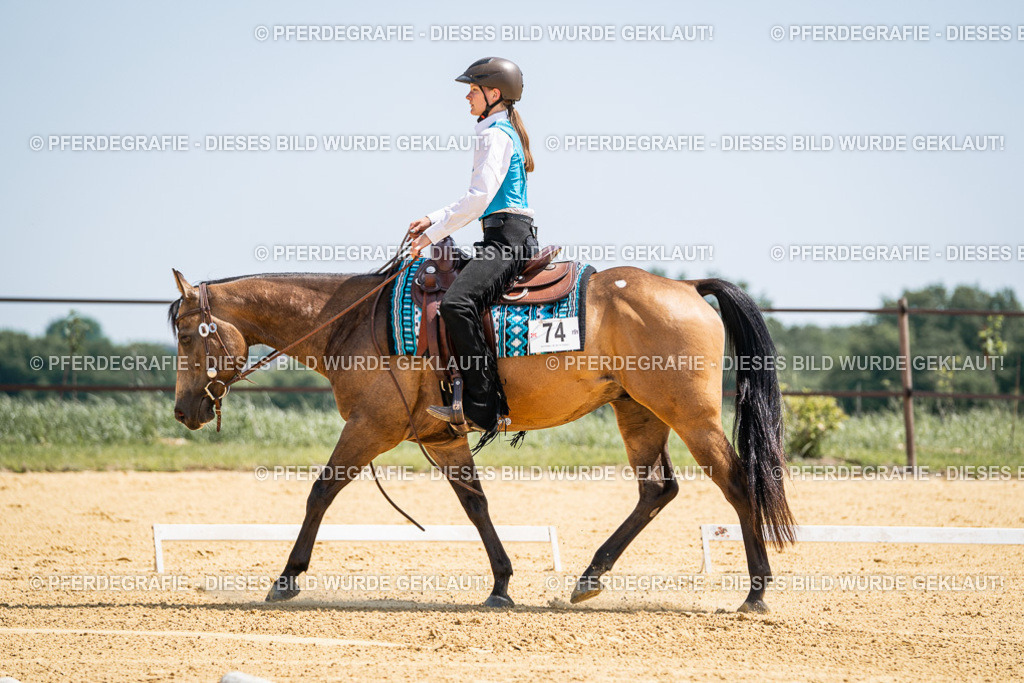 DSC00977 | Pferdegrafie