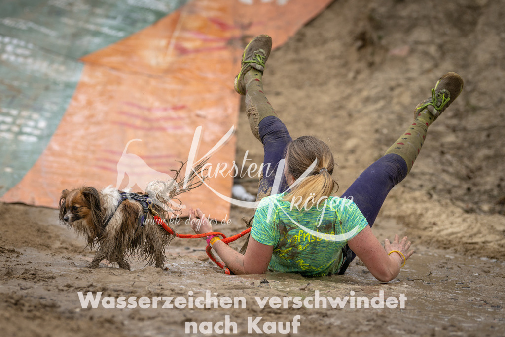 1157DSC_0079 | kk-dogfotos