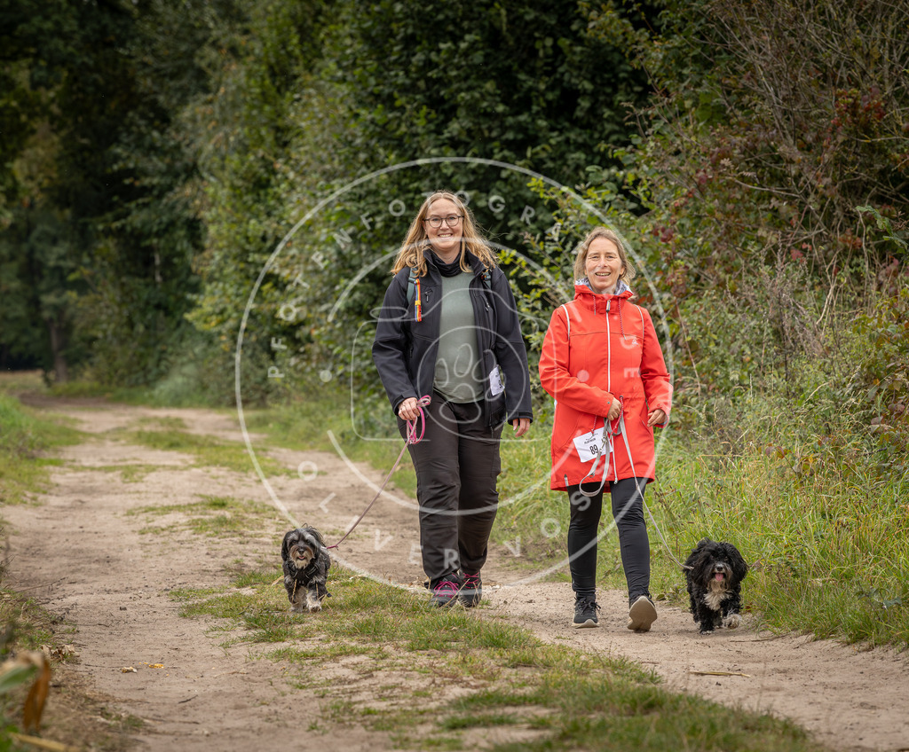 Pfotenfotografie_DV3A6723 | Hundefotografie, Tierfotograf, Pfotenfotografie, Fotoshooting Hund, Hunde Portrait, Hundesport, Hundeportraits, Heideshooting, Hunde, Sportfotograf, Hundefotograf, Turnierhundsport, THS,  - Realisiert mit Pictrs.com