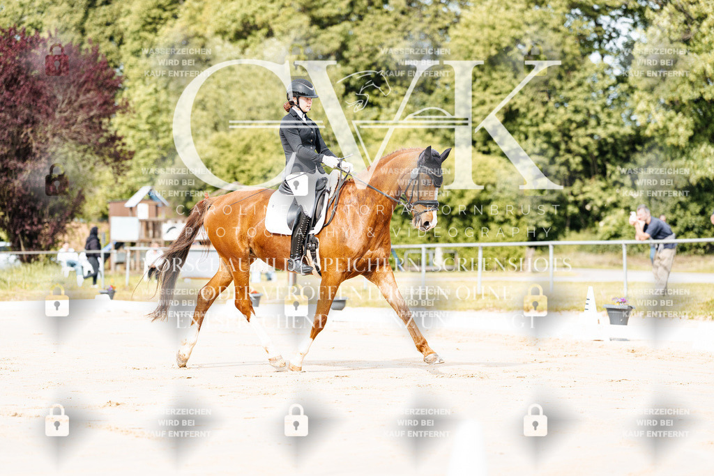 CK900624 | Turnierfotografie Pferdefotografie Trier Rheinland-Pfalz Pferdesport Reitsport Tierfotografie Sportfotografie Pferdevideo Pferdevideografie Equestrianvideography equestrianphotography  - Realisiert mit Pictrs.com