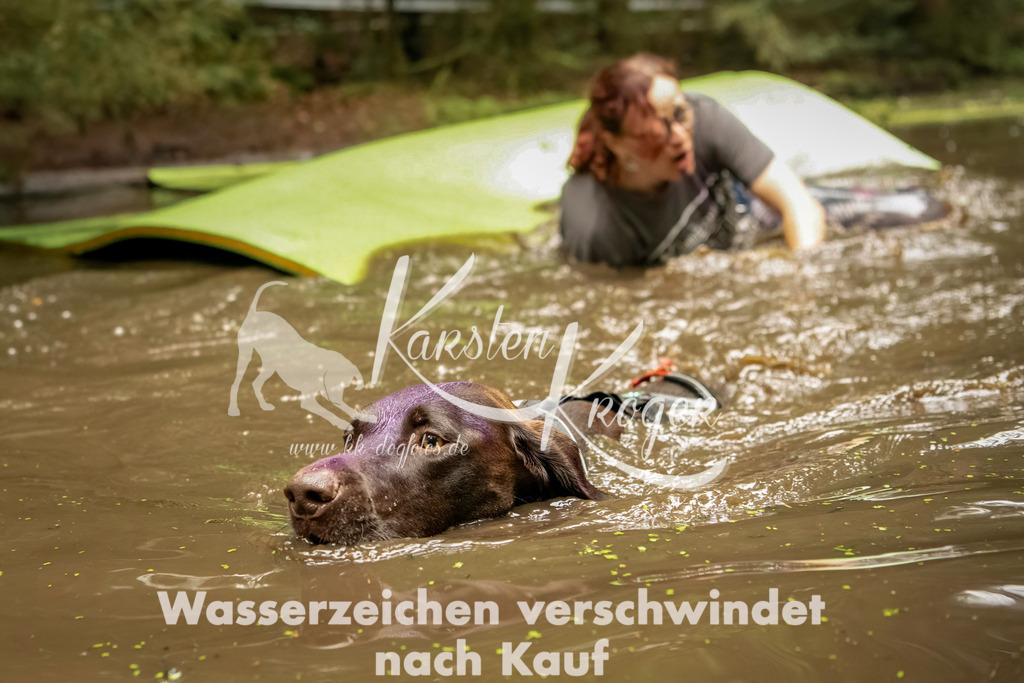 1212_ZZ93162-Bearbeitet | kk-dogfotos