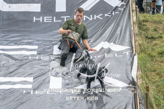 1400_ZZ93749 | kk-dogfotos