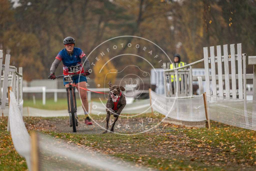 CaniXpix_DV3A8491 | Hundefotografie, Tierfotograf, Pfotenfotografie, Fotoshooting Hund, Hunde Portrait, Hundesport, Hundeportraits, Heideshooting, Hunde, Sportfotograf, Hundefotograf, Turnierhundsport, THS,  - Realisiert mit Pictrs.com