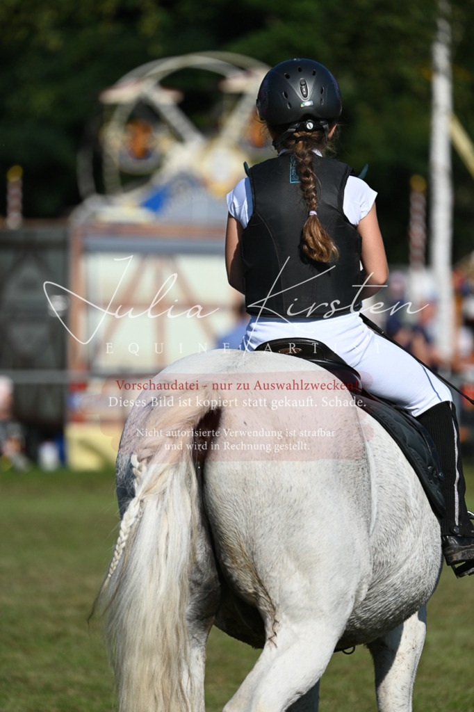 DSC_5189 | Pferde- und Turnierfotografie in Westsachsen. Pferdeportraits, Auftragszeichnungen und intuitive Kunst.