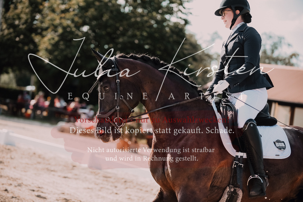 DSC_0580 | Pferde- und Turnierfotografie in Westsachsen. Pferdeportraits, Auftragszeichnungen und intuitive Kunst.
