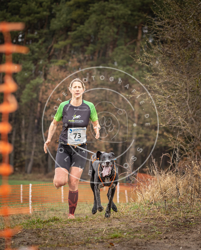 DV3A0240 | Hundefotografie, Tierfotograf, Pfotenfotografie, Fotoshooting Hund, Hunde Portrait, Hundesport, Hundeportraits, Heideshooting, Hunde, Sportfotograf, Hundefotograf, Turnierhundsport, THS,  - Realisiert mit Pictrs.com