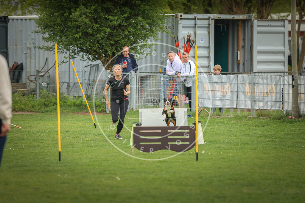 Pfotenfotografie_0L8A1166 | Hundefotografie, Tierfotograf, Pfotenfotografie, Fotoshooting Hund, Hunde Portrait, Hundesport, Hundeportraits, Heideshooting, Hunde, Sportfotograf, Hundefotograf, Turnierhundsport, THS,  - Realisiert mit Pictrs.com