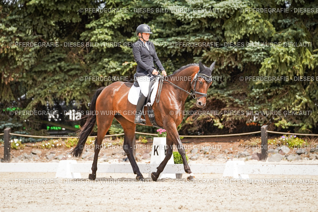 DSC03627 | Pferdegrafie