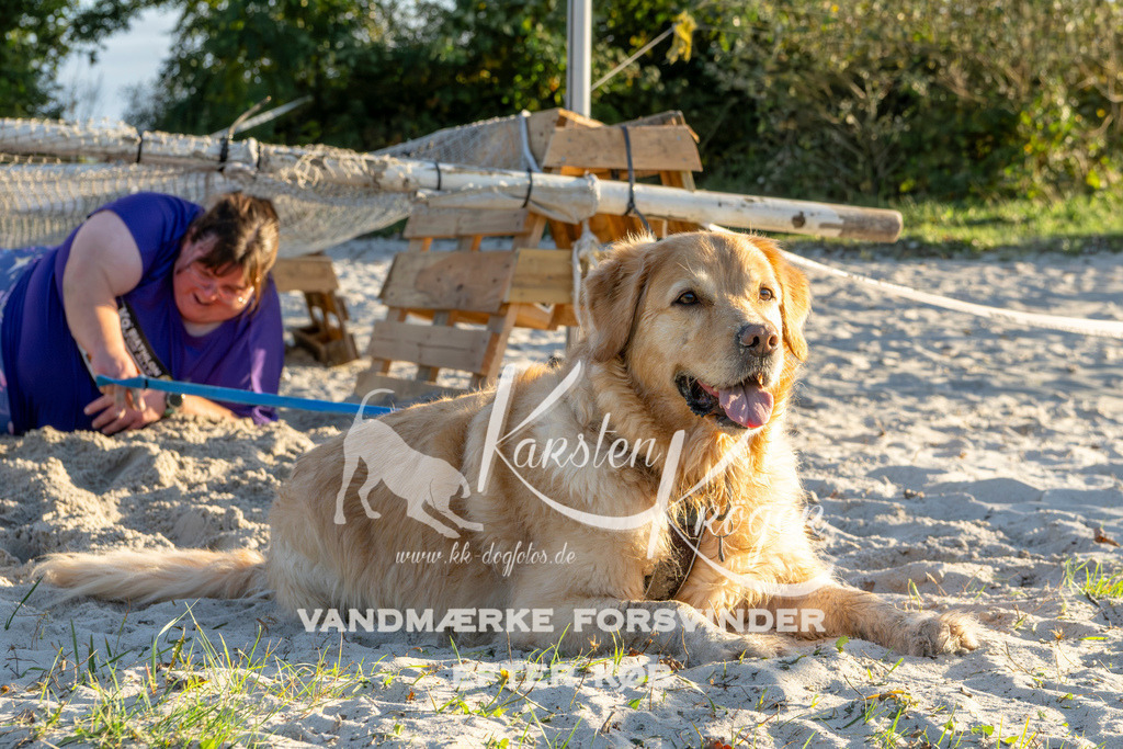 1706_ZZ90635 | kk-dogfotos