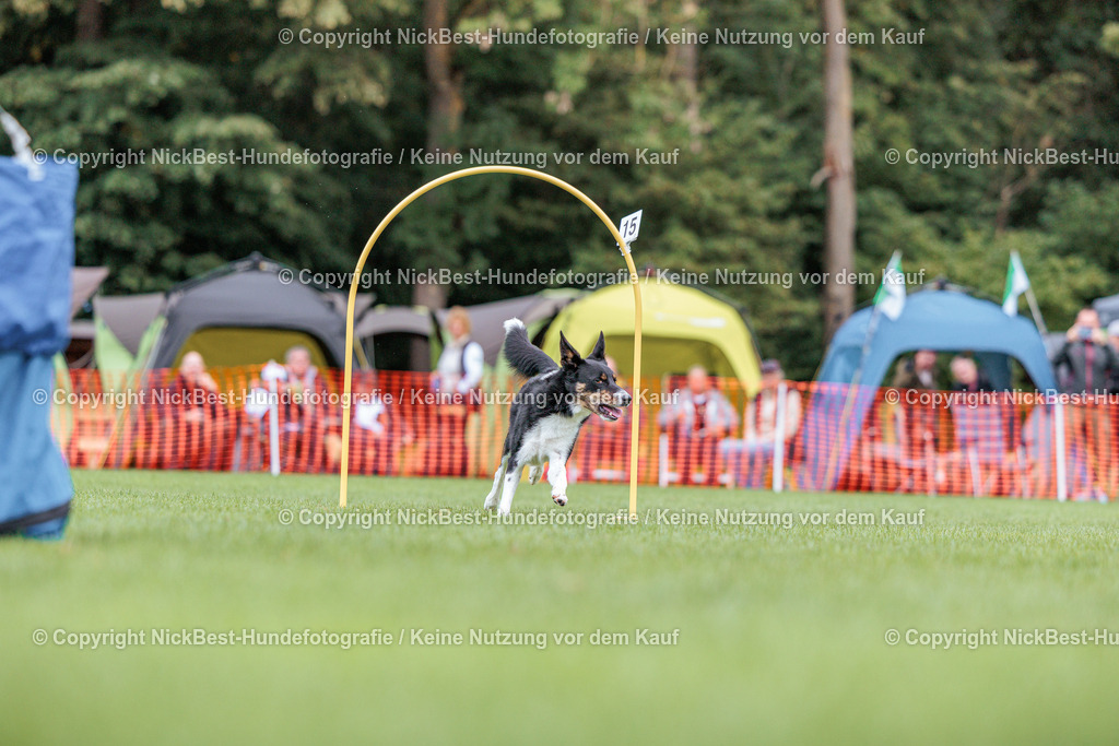 BSP Hoopers-H2 Tag2-2026-Nickbest-Hundefotografie-TuS Komet Arsten e.V.-6830 | Dein Hund! Dein Moment! Deine Erinnerungen! Hundefotografie in Bremen Blumenthal. Ich fange die besonderen Momente deines Vierbeiners ein – ob Indoor mit Blitzanlage oder in der freien Natur. Sicher dir dein Moment und dein Termin für eure Erinnerungen.