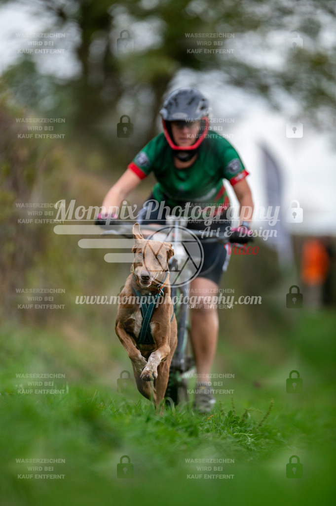 TSB_2023_E8_Bike-86 | PayLife