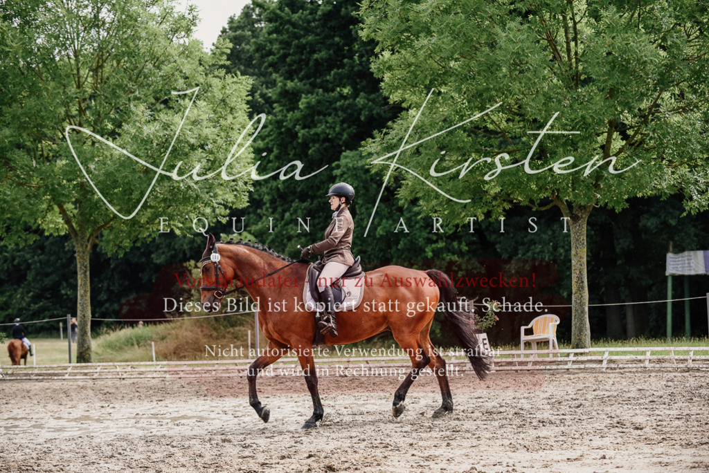 DSC_9513 | Pferde- und Turnierfotografie in Westsachsen. Pferdeportraits, Auftragszeichnungen und intuitive Kunst.