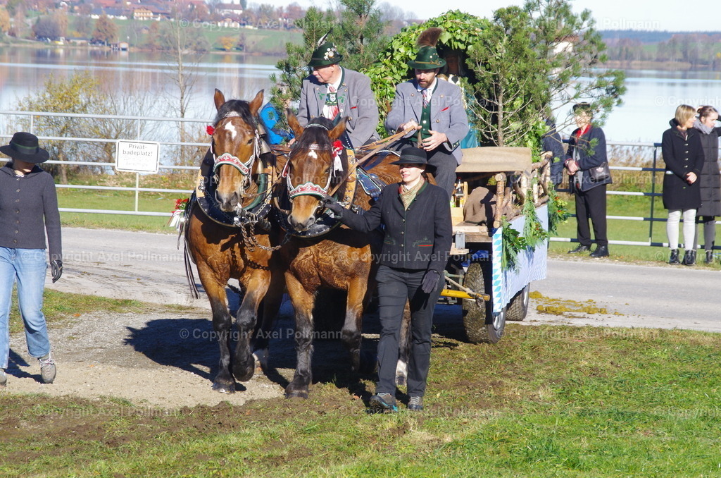 IMGP7630 | fotografiert von Axel PollmannLeonhardi Wallfahrt Benediktbeuern und Murnau, Fronleichnam, Fasching, Landschaft im Loisachtal und Benediktbeuern  - Realisiert mit Pictrs.com