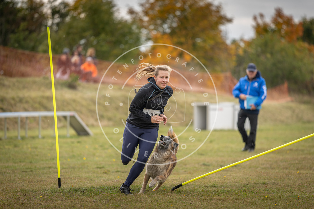 Pfotenfotografie_DV3A6924 | Hundefotografie, Tierfotograf, Pfotenfotografie, Fotoshooting Hund, Hunde Portrait, Hundesport, Hundeportraits, Heideshooting, Hunde, Sportfotograf, Hundefotograf, Turnierhundsport, THS,  - Realisiert mit Pictrs.com