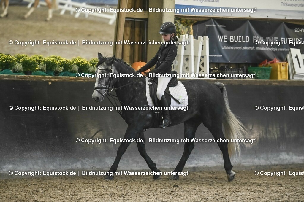 03_Reiter-WB_0195 | Foto: Thomas Hartig