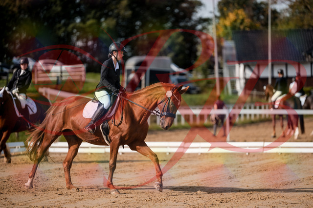 2026_10_03_Siefer-Hof_114202_Z63_23144570 | Professionelle Reitsport-, Turnier- und Eventfotografie von Robert Broda. Galerien mit ausgewählten und bearbeiteten Bildern direkt online ansehen und bestellen.