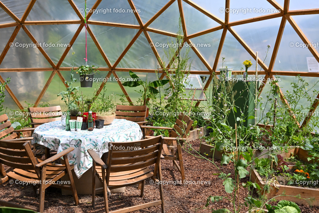 Freistadt_ Festival der Regionen_ VegCub_ 22.06.2023-3 | 22.06.2023, Freistadt, AUT, Festival der Regionen, im Bild VegCub