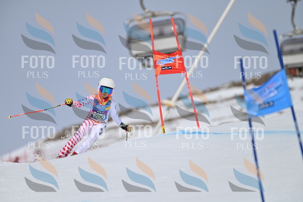 BGV_3963 | holidayphoto