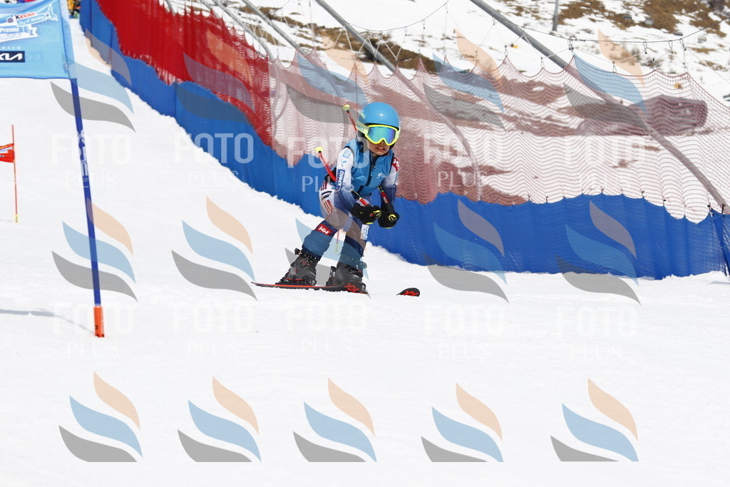 _U3G7764 | holidayphoto