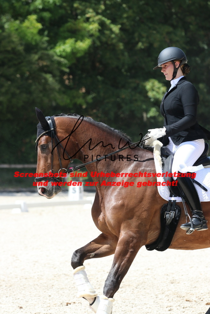 IMG_4991 | lmwpictures - Realisiert mit Pictrs.com