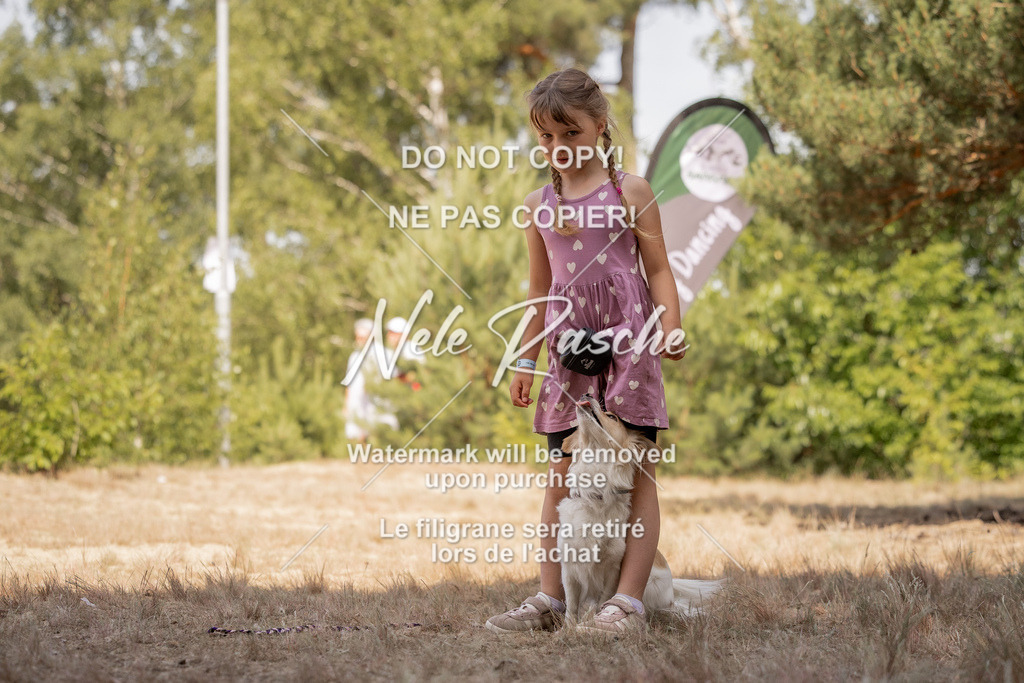 nelerasche_soDD2_302 | nelerasche