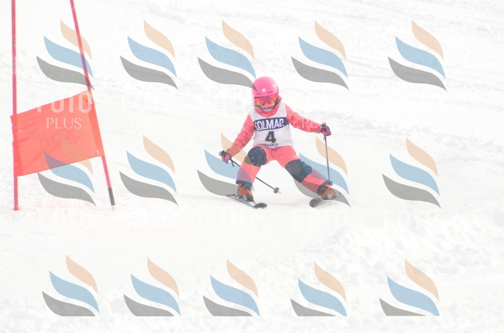 A5013 | holidayphoto