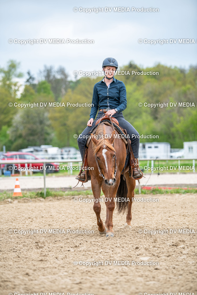 Heiligenwald Tag 1-1628 | dv-media-shop - Realisiert mit Pictrs.com