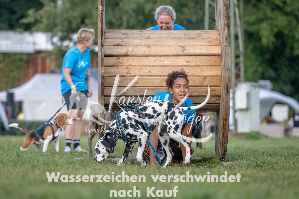 1014_ZZ91918 | kk-dogfotos