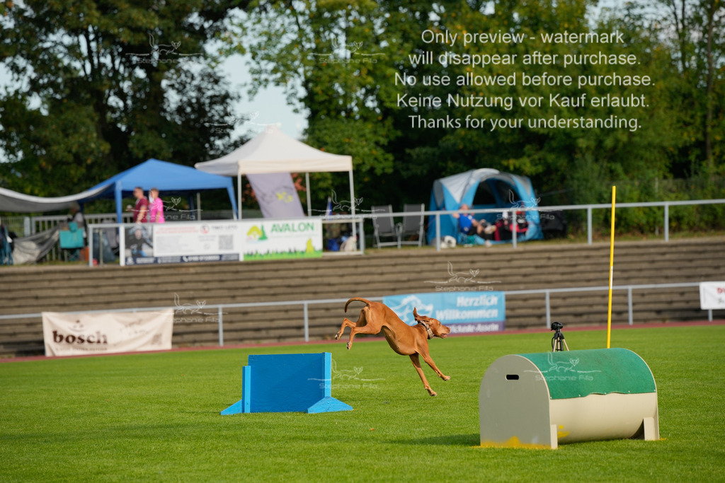 Samstag_CSC (1939 von 2023) | stephaniefillaphotographie - Realisiert mit Pictrs.com
