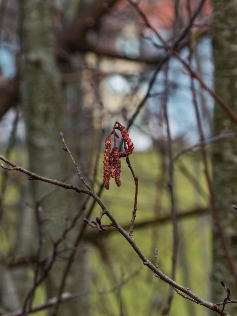 PSX_20230227_225004 | mtkfoto_ - Realisiert mit Pictrs.com