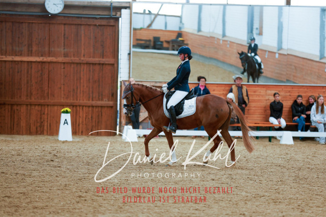 _62_5675 | Turniersportfotografie; Pferdefotografie; Dressurfotografie