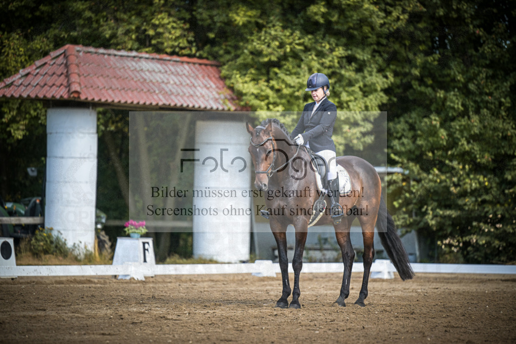 DOS_3969 | Entdecke hochwertige Reitturnierfotos von Foto Oger. Professionell, emotional und authentisch – jetzt Lieblingsmomente im Shop bestellen.Deutschlandweite Turnierfotografie. - Realisiert mit Pictrs.com