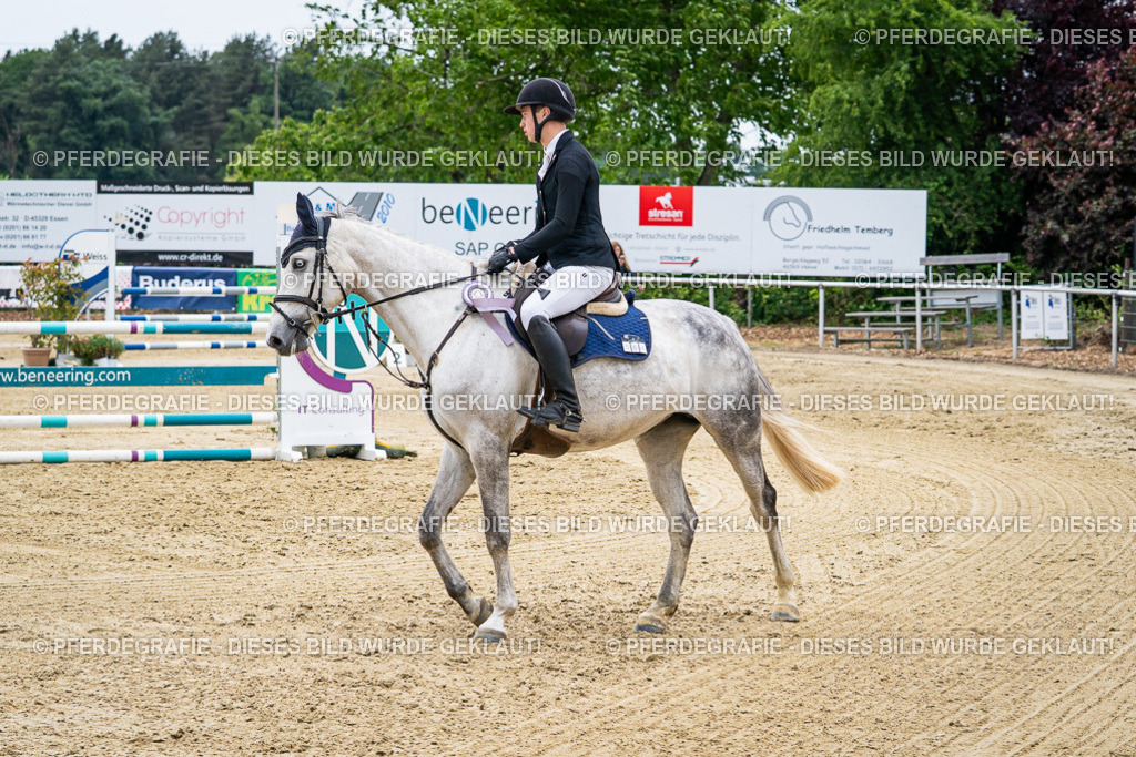 DSC06522 | Pferdegrafie