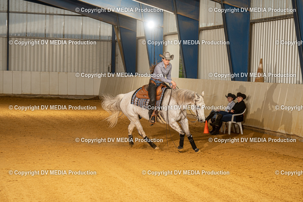 MIT00559 | dv-media-shop - Realisiert mit Pictrs.com