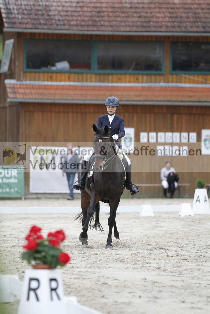 _MG_5502 | equestrian-live-com