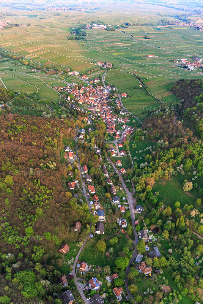 Luftbild: Trifelsstraße und Slevogtstraße von Westen in Leinsweiler im Bundesland Rheinland-Pfalz in Deutschland. Foto: IMG_106858.jpg vom 21.04.2018 durch Werner Riehm/FLY-FOTO.de