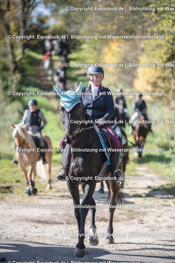 20251011_Jagd-Marbach_0474 | Foto: Thomas Hartig