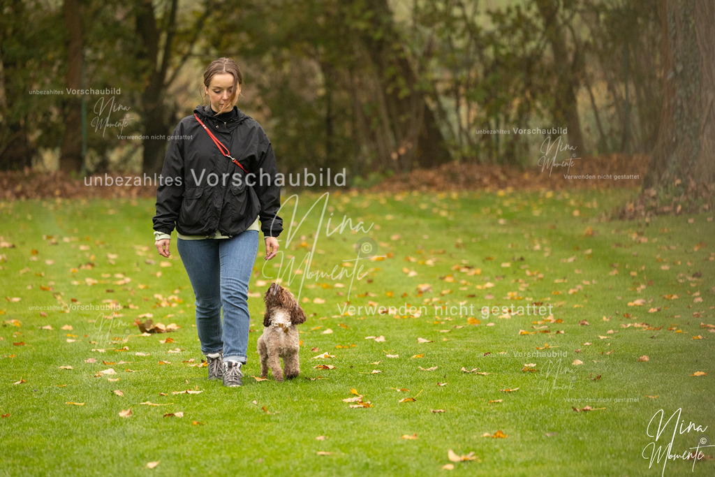 _16A0557 | Einzigartige Fotos von Hunden & Menschen –Actionfotos, Portraits, Vereinsaufnahmen & Paarshootings – authentisch, lebendig & mit Herz.